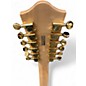Used Gretsch Guitars G5476G-12 12 STRING Natural Hollow Body Electric Guitar
