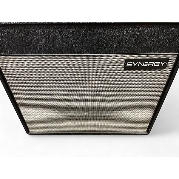 Used Synergy SYN112 Guitar Cabinet