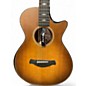 Used Taylor Taylor 652CE Builders Edition Wild Honey Bust 12 String Acoustic Guitar
