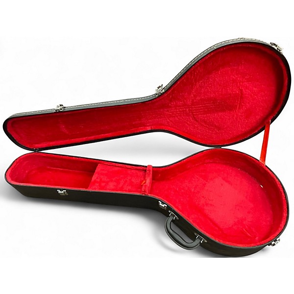 Used Washburn B16 Natural Banjo