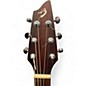 Used Breedlove Passport D20 FS Natural Acoustic Guitar