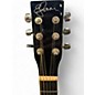 Used Esteban ALC-200 Black Acoustic Electric Guitar