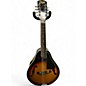 Used Goya GM16 2 Color Sunburst Mandolin thumbnail