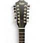 Used Taylor T5Z-12 Mahogany 12 String Acoustic Electric Guitar