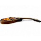 Used Jay Turser JTMN-20E 2 Color Sunburst Mandolin