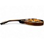 Used Jay Turser JTMN-20E 2 Color Sunburst Mandolin