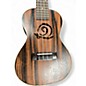 Used 2010s Amahi SNAILEBUK ZIRICOTE Ukulele
