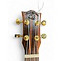 Used 2010s Amahi SNAILEBUK ZIRICOTE Ukulele