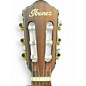Used Ibanez FRH10N ROSE GOLD Classical Acoustic Electric Guitar