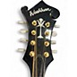 Used Washburn M1SDL Black Mandolin