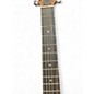 Used Taylor GS Mini-e special edition pasley Acoustic Electric Guitar