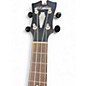 Used D'Angelico Premium Bayside CS Koa Koa Ukulele