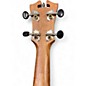 Used D'Angelico Premium Bayside CS Koa Koa Ukulele