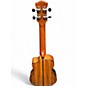 Used Luna High Tide Concert Koa Mahogany Ukulele