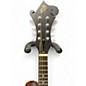 Used The Loar LM310F 2 Color Sunburst Mandolin