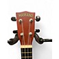 Used Hamano U-30BR Walnut Ukulele