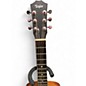 Used Taylor BT2 Baby Brown Acoustic Guitar
