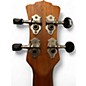 Used Luna VMS EL Mahogany Ukulele