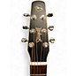 Used Seagull S6 BURNT UMBER Acoustic Guitar