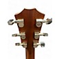 Used Taylor AD22E Mahogany Acoustic Electric Guitar