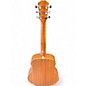 Used Taylor GS MINI-E SPECIAL EDITION PAISELY BURST Acoustic Guitar