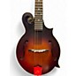 Used The Loar LM-310FE VINTAGE BROWN Mandolin