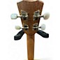 Used Cordoba 15CM Concert Brown Ukulele
