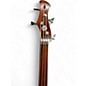 Used Ergo Electric bass walnut Upright Bass