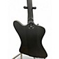 Used Epiphone Nikki Sixx Signature Blackbird Black Electric Bass Guitar