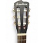 Used Breedlove Discovery Concert Cutaway Nylon Natural Classical Acoustic Electric Guitar