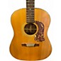 Used Washburn D-25 N Natural Acoustic Guitar