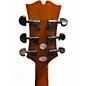 Used Mitchell MX430SM Spalted Maple Acoustic Electric Guitar