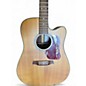Used Walden D560CE Natural Acoustic Electric Guitar