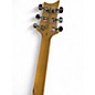 Used PRS SE SWAMP ASH SPECIAL Charcoal Solid Body Electric Guitar