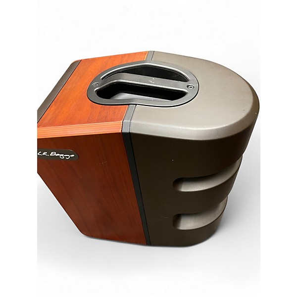 Used LR Baggs synapse Powered Speaker