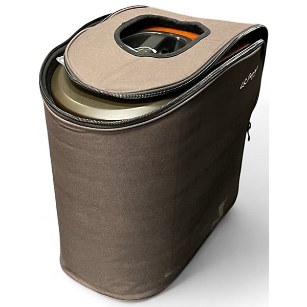 Used LR Baggs synapse Powered Speaker