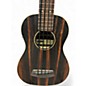 Used Kala Striped Ebony UBass Ebony Acoustic Bass Guitar