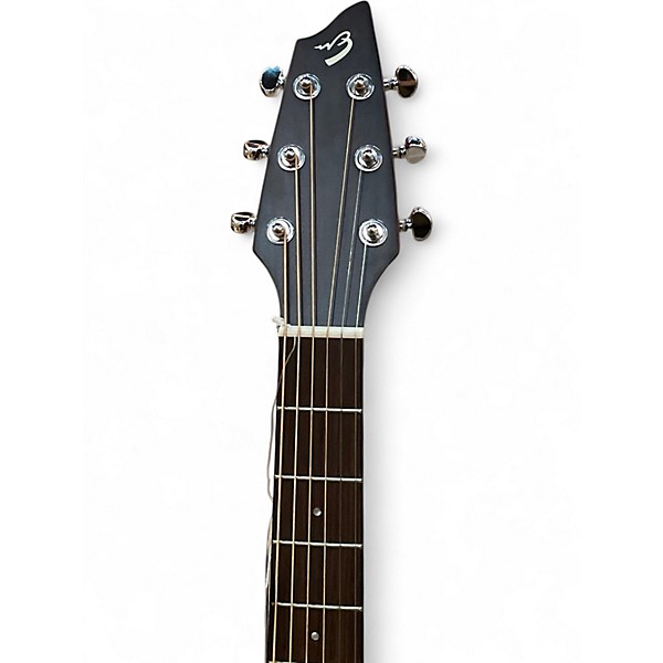 Used Breedlove PASSPORT C200SMP Natural Acoustic Guitar