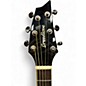 Used Breedlove Stage Concert Black Magic Acoustic Electric Guitar