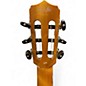 Used Cordoba Fusion 12 brown sugar burst Classical Acoustic Electric Guitar