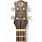 Used Luna Concert Tattoo Mahogany Ukulele