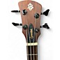 Used Spector TIMBRE Mahogany Acoustic Bass Guitar