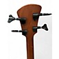 Used Spector TIMBRE Mahogany Acoustic Bass Guitar