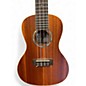 Used Cordoba 15CM Concert NATURAL Ukulele