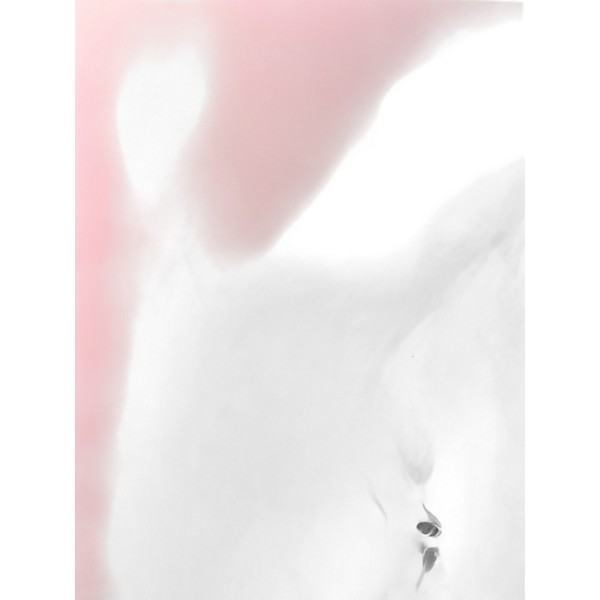 Used Mission Engineering GM-1 Guitar Cabinet