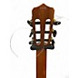 Used Cordoba Stage EDGEBURST Classical Acoustic Electric Guitar