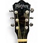 Used Washburn DFBACEB ASH BURL Acoustic Electric Guitar