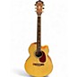 Used Ibanez AEL50SERLV1202 Natural Acoustic Electric Guitar