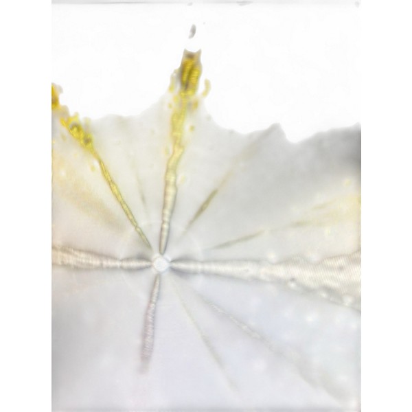 Used SABIAN 22in MASTER DARK Cymbal