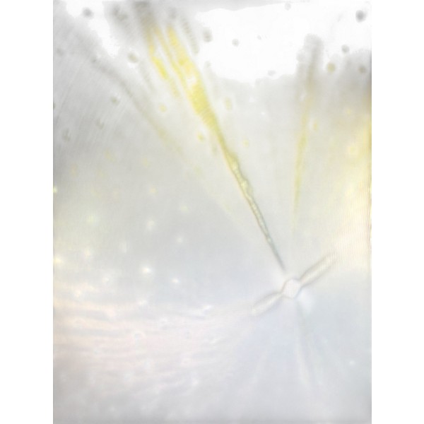 Used SABIAN 22in MASTER DARK Cymbal